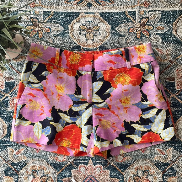 LOFT Pants - LOFT Riviera Shorts